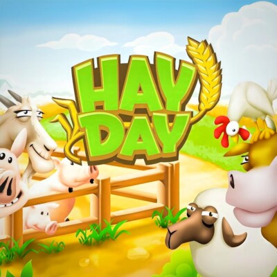  Hay-Day Building Materials | Fast Delivery | Affordable Prices!
