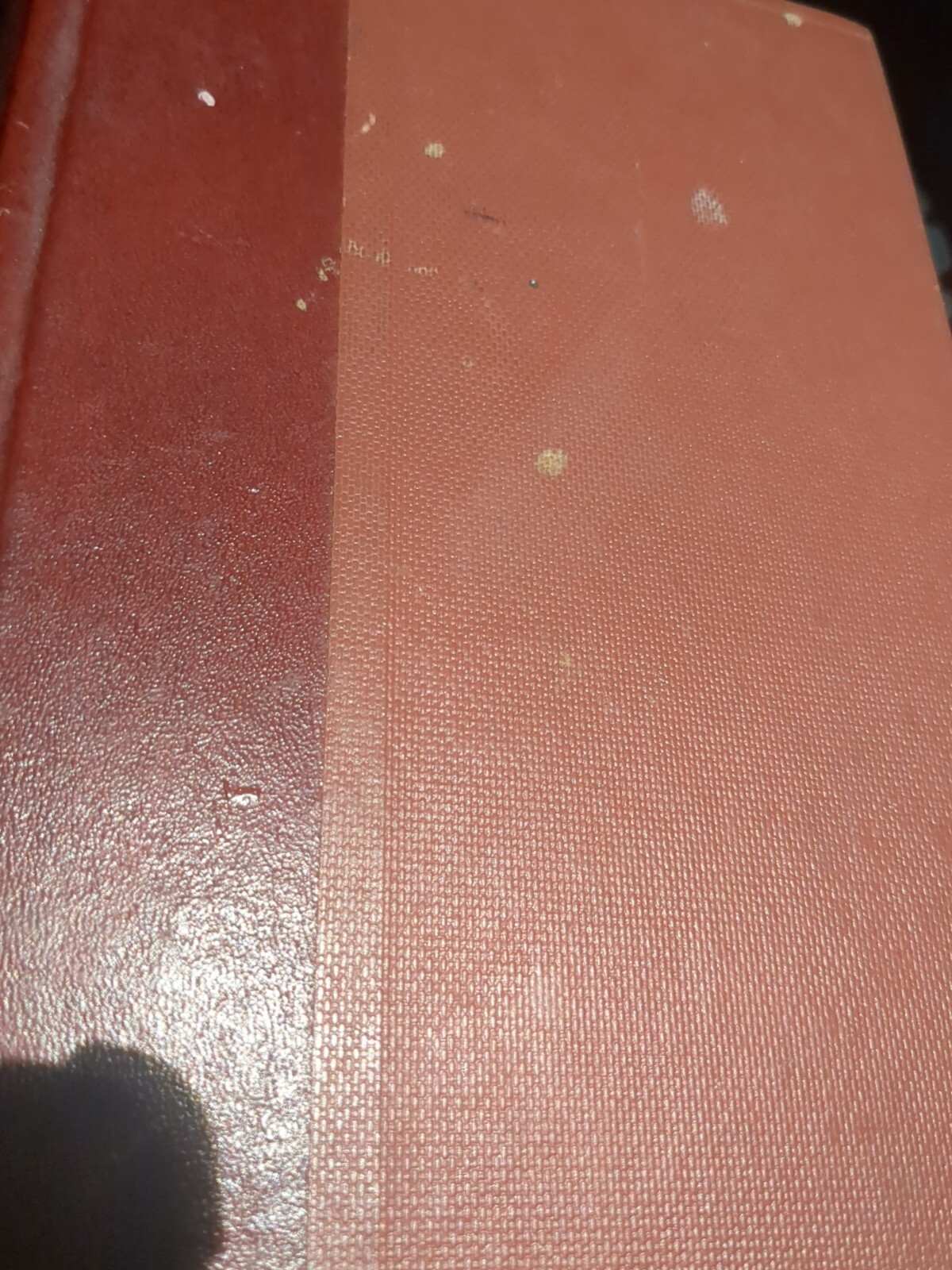 Picture 14 of 14