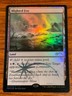 2016 Mtg Magic the Gathering Friday Night Magic Foil Promo Blighted Fen #004/012