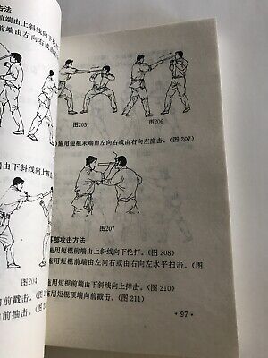 1997 Bruce Lee Commentary On Stick Fighting Techniques - Chinese