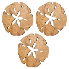 Wooden Sand Dollar Wall Decor, Summer Wall Decor SandDollars Wall Decor3364