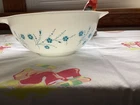 Beautiful Rare Blue Dianthus 443  Cinderella Bowl