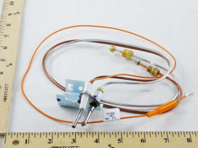 Module Assy Pilot AO Smith 9006201205 Kit Pilot Assy 100110984 | eBay