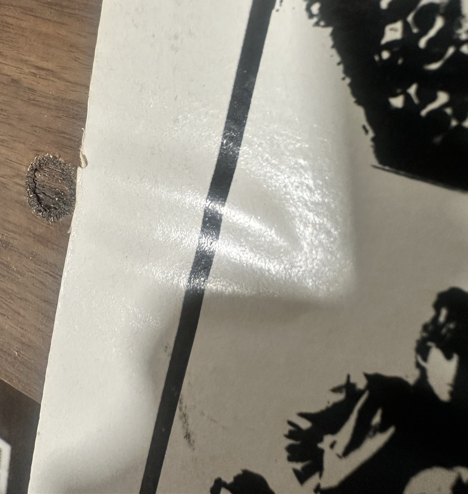 Picture 5 of 5
