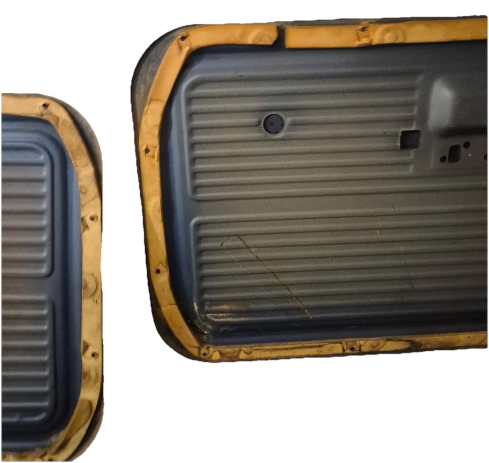 Ford F-100/F150/F 250 1967-1972 paneles de puerta - azul Foto 2 de 4