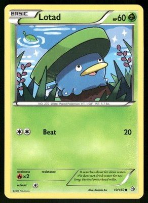 Lotad Common XY - Primal Clash 10/160 NM
