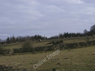 Foto 6x4 Ungesammelt Heu, Wester Blairlinn Cumbernauld oder Stroh. I find c2010