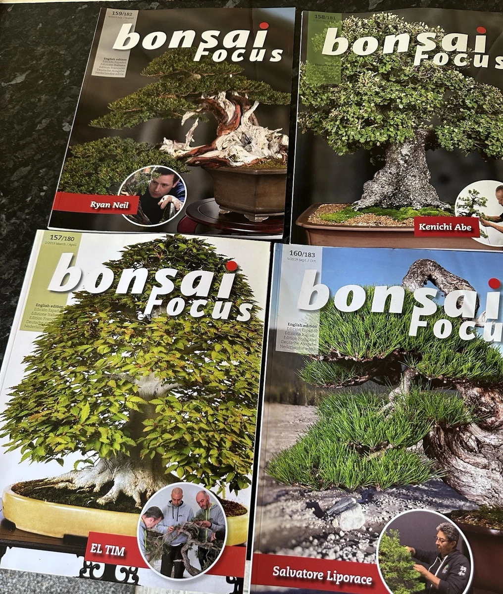 bonsai magazine products for sale | eBay UK