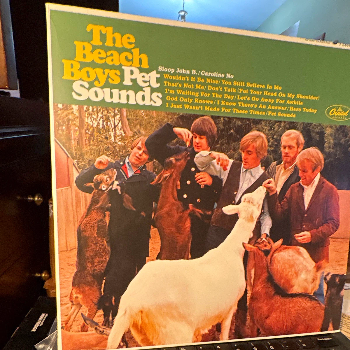 Las mejores ofertas en Vinilo Pet Sounds | eBay