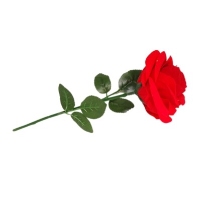 Fashionable Rose Rings Presentation Box Fashion Accessory for Romance Event