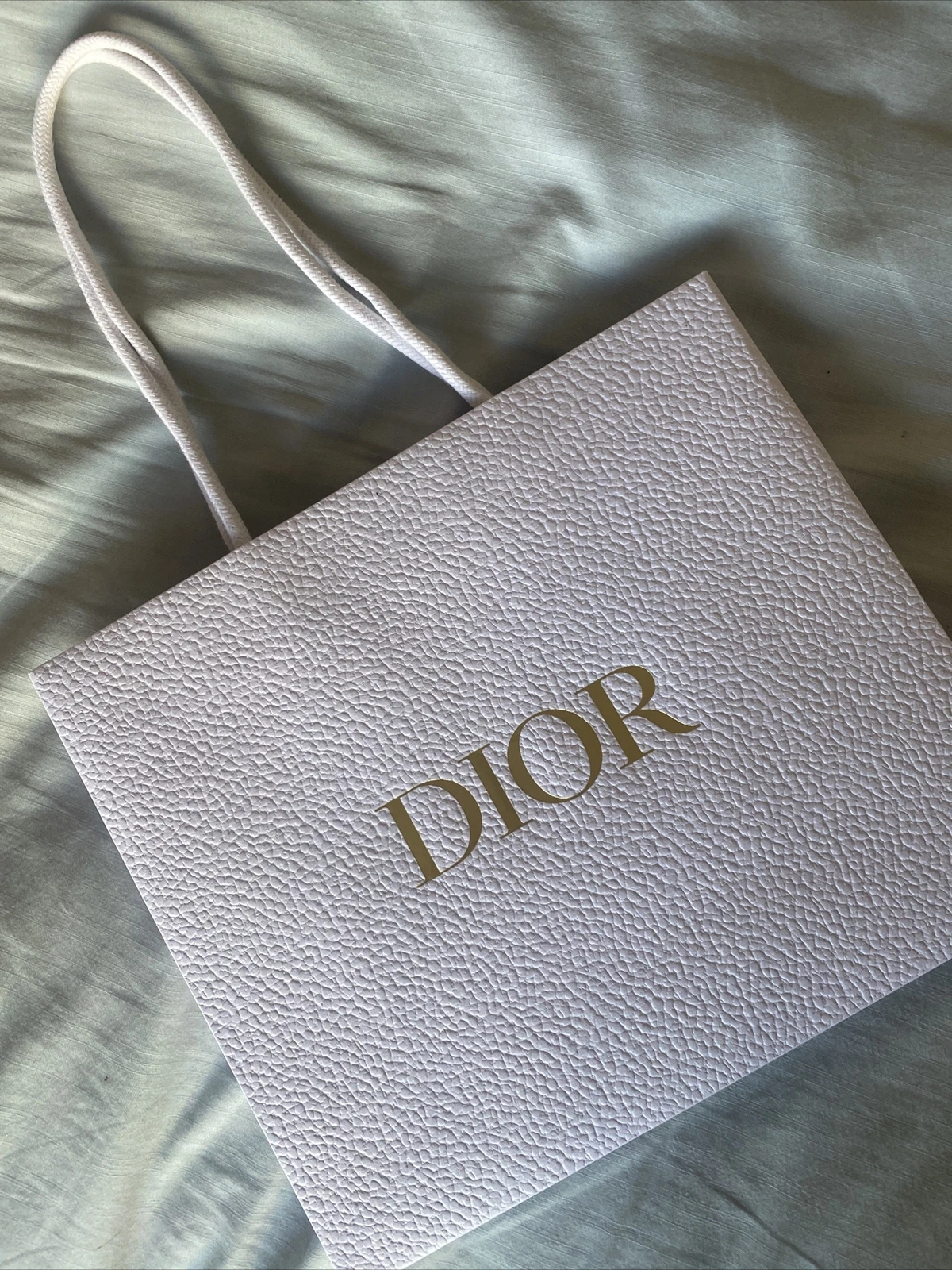 Grand sac cadeau Dior pour toutes les occasions peut être utilisé pour les parfums ou tout cadeau