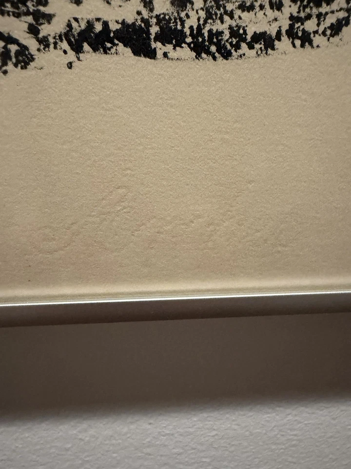 Litografia original assinada Robert Motherwell Madrid Suite 8 H   - Imagem 4 de 4