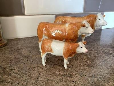 Border Fine Arts Simmental pottery family 