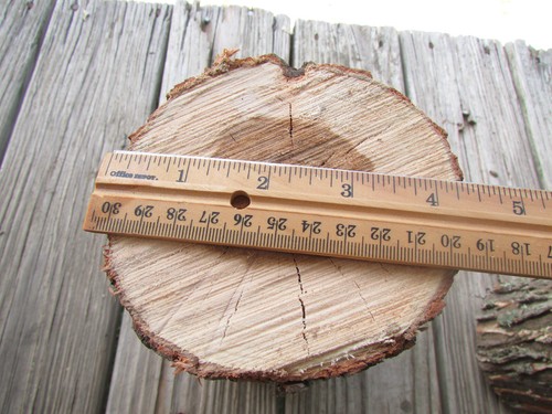 *LOT OF 2* WILLOW Wood Logs, 9 x 4 in, LARGE Carving Blanks - *Green Wood* 5LB - Picture 6 of 10