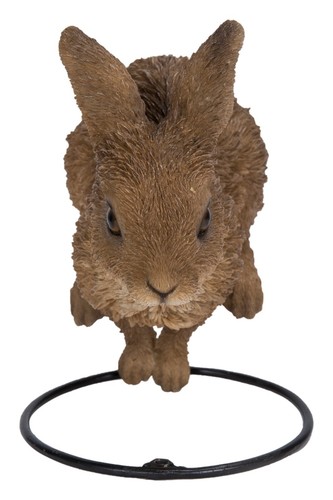 Clearance-Rabbit Decor, Hare Garden Statue, Bunny Garden Decor, Home Ornament - 第 9/12 張圖片