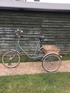 pashley picador tricycle
