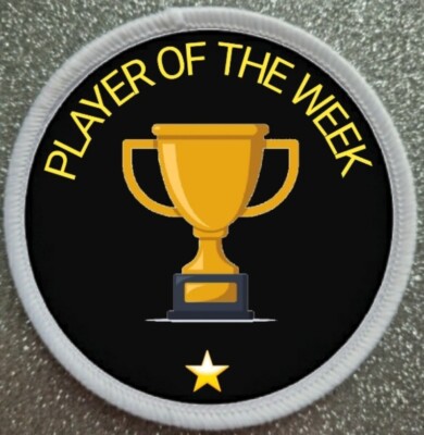 3 Zoll Spieler der Woche Bügeln/Nähen Patch Abzeichen Sport Award