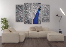 Beautiful Peacock Canvas Print Set - Ready To Hang Animal Wall Art Home Decor