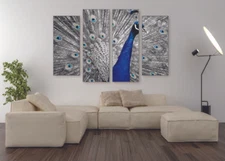 Beautiful Peacock Canvas Print Set - Ready To Hang Animal Wall Art Home Decor