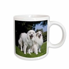 3dRose Two Great Pyrenees dogs in California - US05 ZMU0308 - Zandria Muench Ber