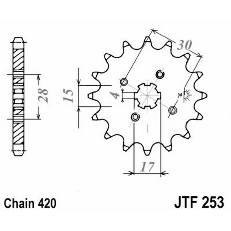 Jt Pignone Jt 253 Z15 denti JTF253.15