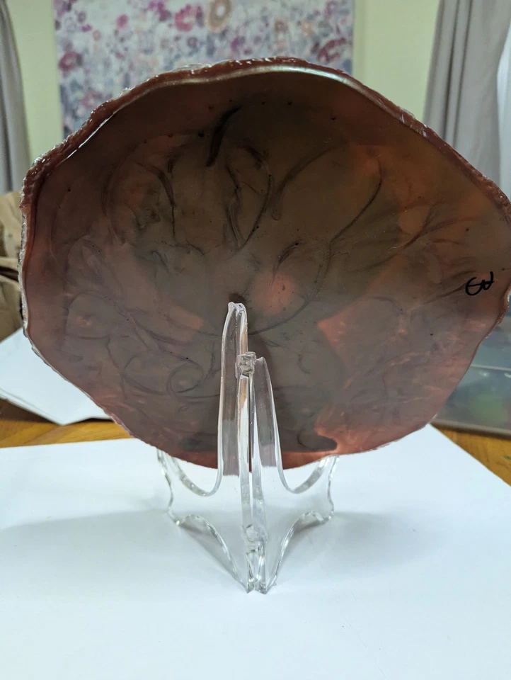 Letrero deportivo de fútbol americano casero Cleveland Brown Peanuts Foto 3 de 4