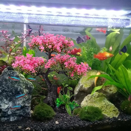 Aquarium Artificial Plastic Plants Decoration, Pink Cherry Blossom Tree & Grass - Picture 9 of 9