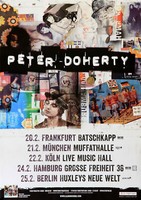 Peter Doherty - Demonstrations, Tour 2017 | Konzertplakat | Poster