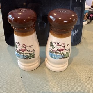 Florida Salt And Pepper Shakers