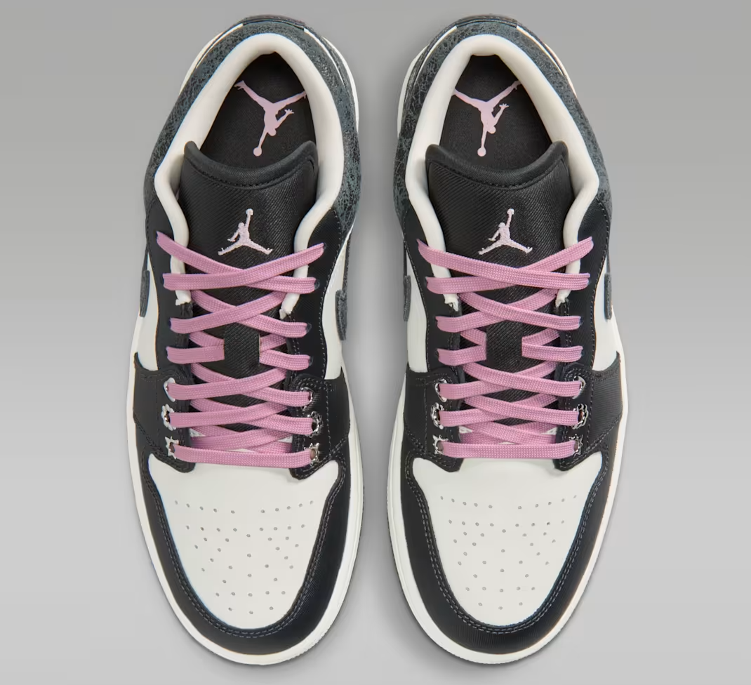 Jordan 1 Low SE Anthracite Sail Coconut Milk Iced Carmine Women's