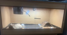 Vivarium Enclosure 3ft Oak For Tortoises Snakes Lizards Full Setup Complete