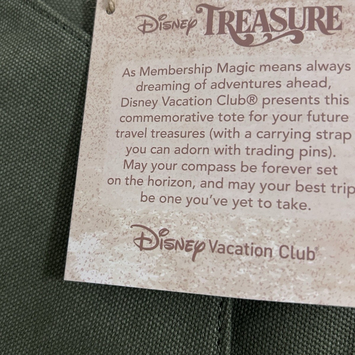 Disney Vacation Club Treasure Messenger Canvas Convertible  display picture 1