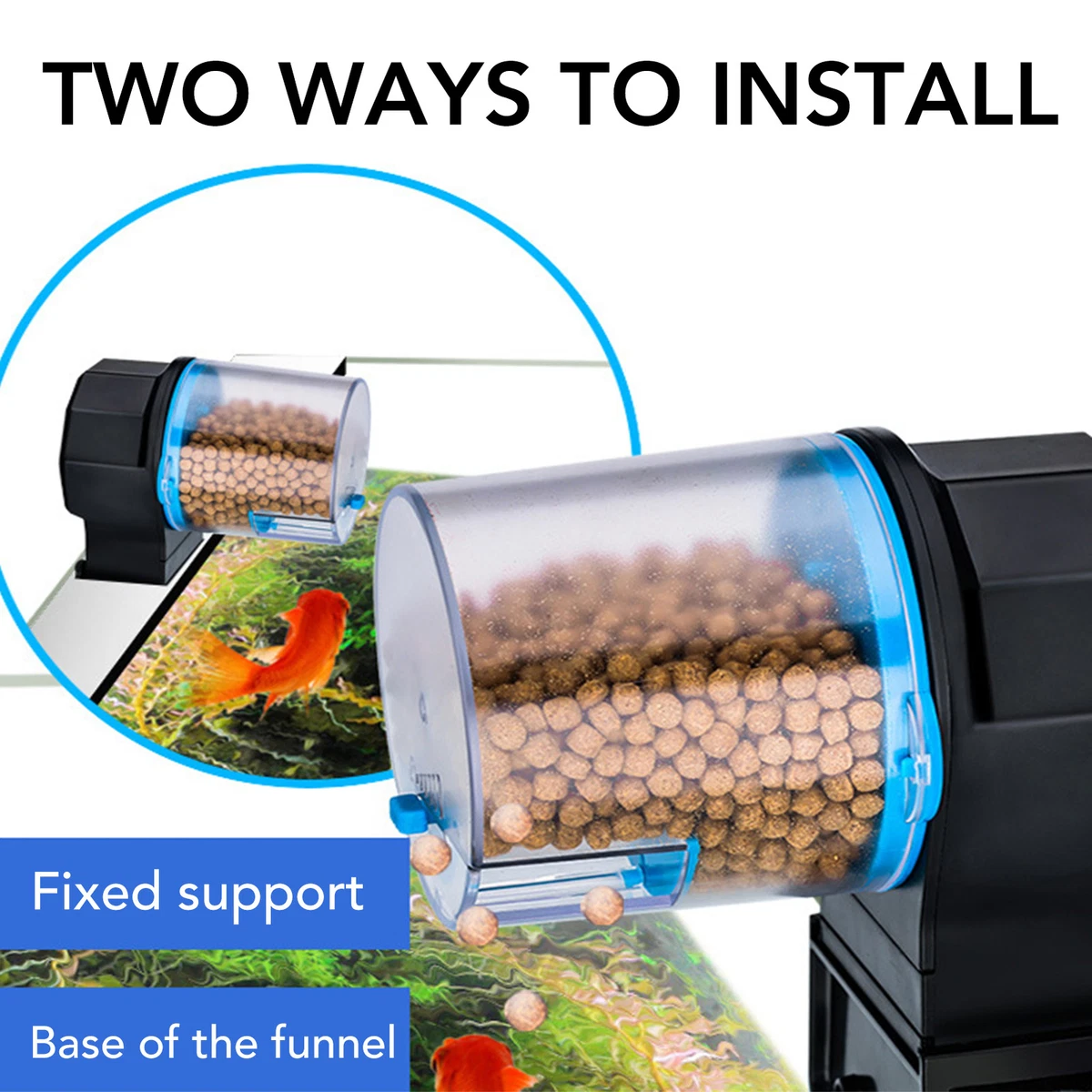 Fish food timer top
