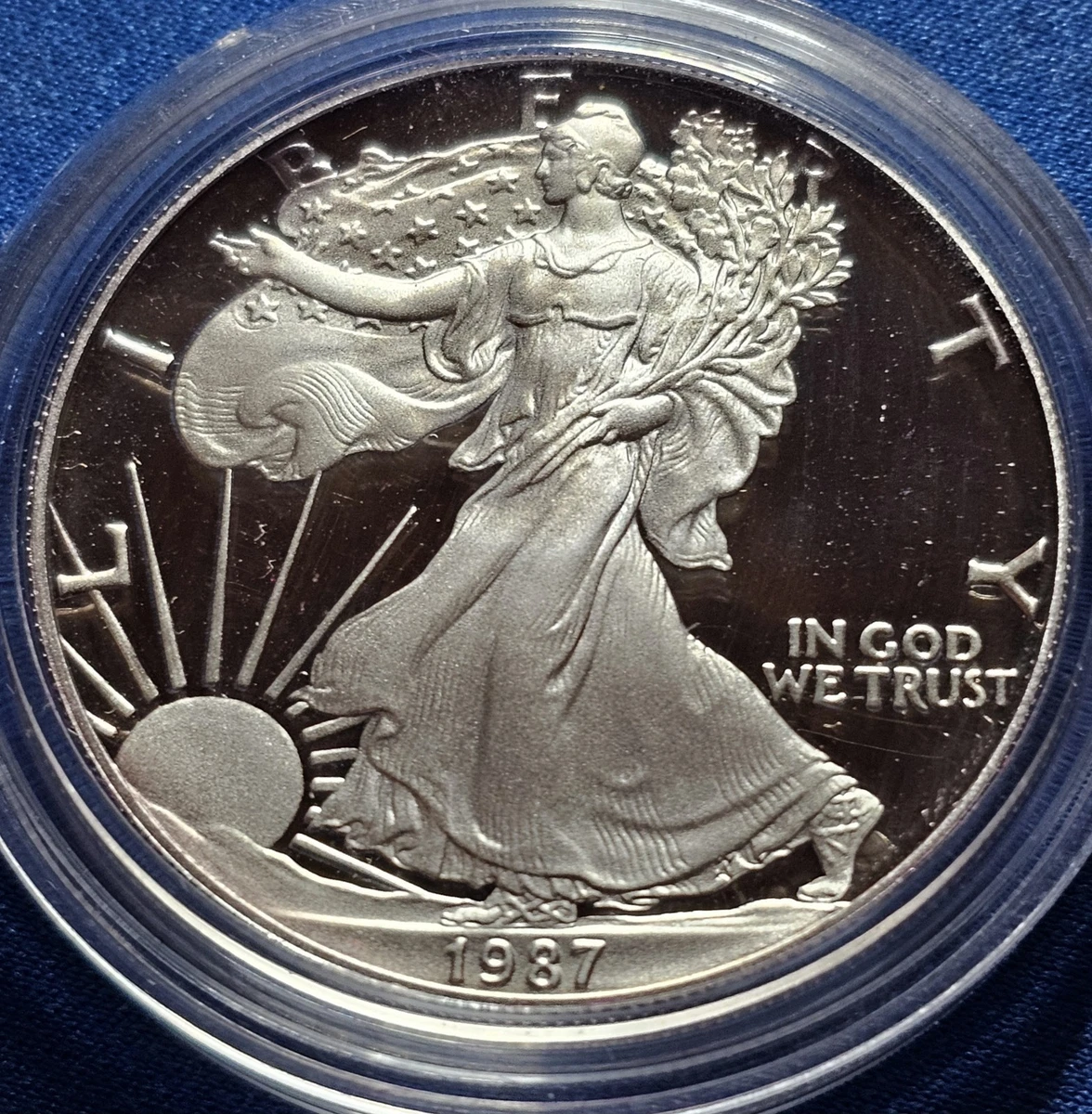 American Eagle Proof 1987 Silver Bullion Coins for sale | eBay