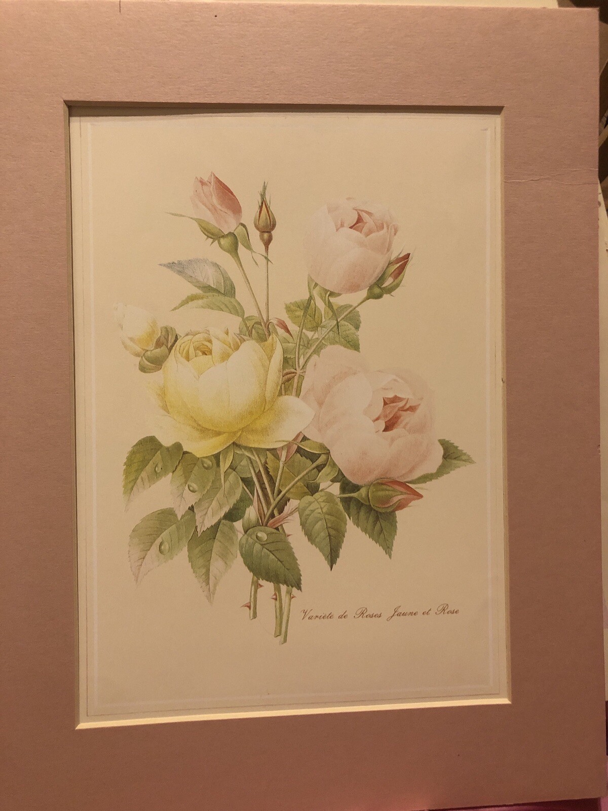 Picture 4 of 4