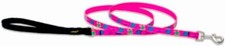 LupinePet Originals 1/2" Wing It 6-foot Padded Handle Leash for Small Pets