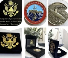 Rare USS Sealion APSS 315 Submarine Coin USN