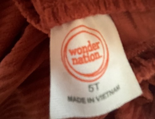 Girls Sz 5T Rust Velvet Corduroy Jumper Skirt & Top Wild & Fierce Lion Print - Picture 10 of 11