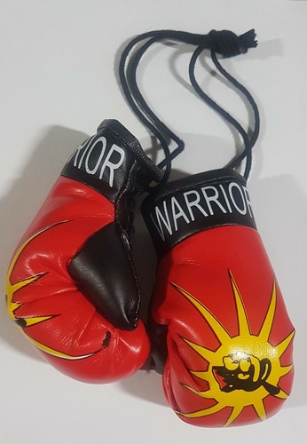 High Quality Country Flag MINI BOXING GLOVES - Rear View Mirror Gloves - New - Picture 15 of 134