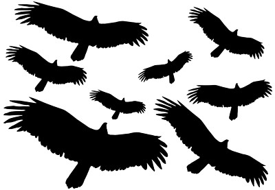 8 Vögel Aufkleber - Vogelschutz - Warnvögel - Wintergarten ...
