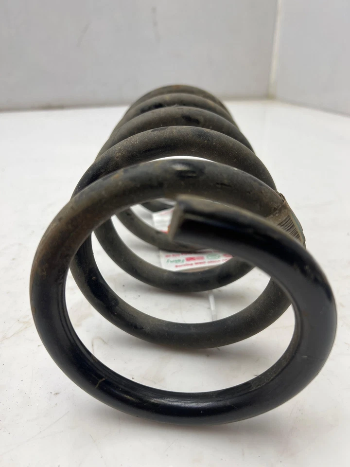 Muelle helicoidal trasero GM para Chevy Equinox GMC Terrain 2010-2017 OEM 20941297 Foto 3 de 4