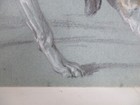 Picture 5 of 13