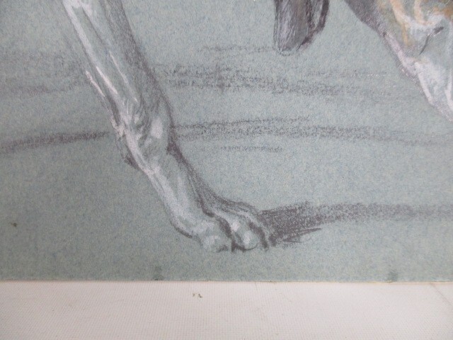 Bild 5 von 13