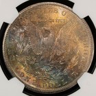 Foto 7 di 9