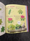 Sew Mini Gardens Klutz Plant Plushies Over 18 DIY Craft Cacti Patterns — photo 3
