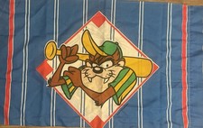 Vintage 1994 Warner Bros. Looney Tunes Bugs Bunny Taz Pillow cover