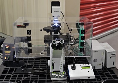 Microscopes - Inverted Phase Contrast Microscope