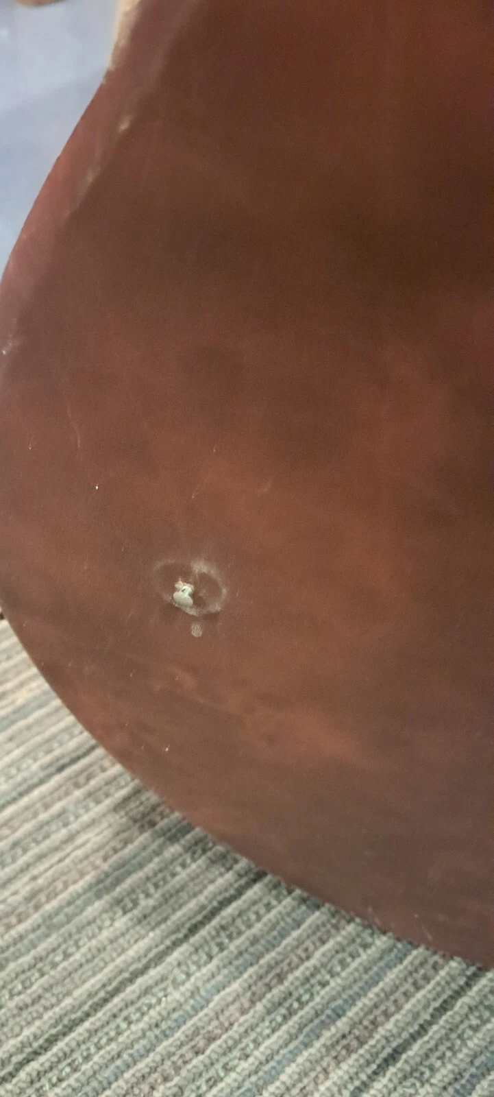Picture 21 of 22