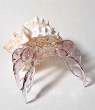 Pink Crystal Hermet Crab Glass Gallery Collection Seashell Conch Shell w/Box