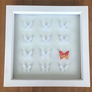 Download Shadow Box Picture Frame New Handmade 3d Butterfly White Wooden Home Decor Gift Ebay